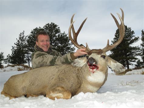 Fully Guided Trophy Mule Deer Hunts in Colorado | J&D Outfitters