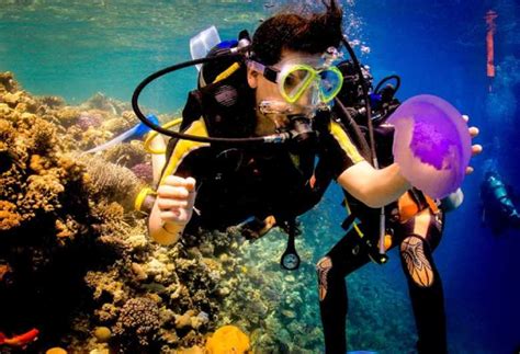 Marsa Alam: Scuba Diving for Beginners at 2 Diving Stops | GetYourGuide