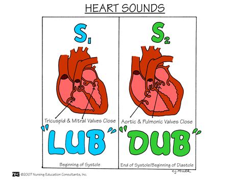 Nursing School: Assessment Mnemonics