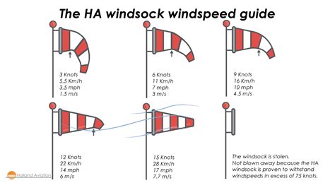 Windsock: Everything You Need to Know! - Holland Aviation