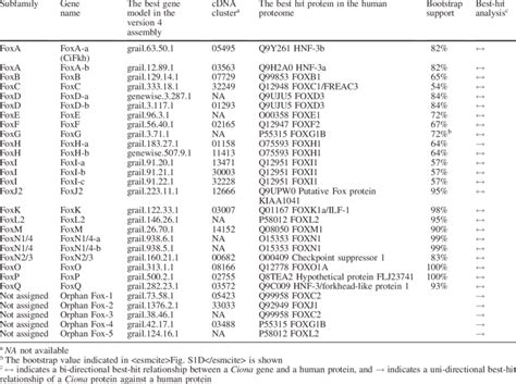 Fox genes identified in the Ciona intestinalis genome | Download Table