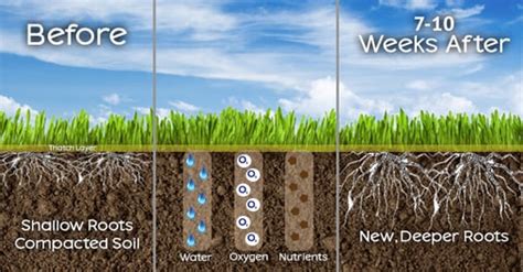 Why Does My Lawn Need Core Aeration? [Explained]