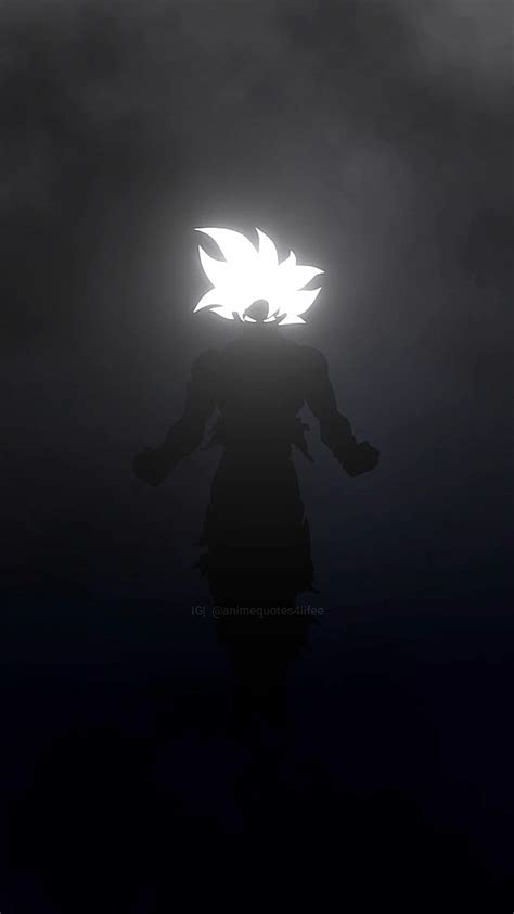 Goku, dragonball, ultrainstict, black, Gokublack, rise, dbz, anime HD ...