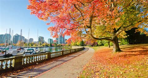 Must see attractions in Vancouver, Canada - Lonely Planet