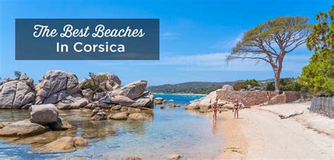 volba přátelský Pocit best beaches corsica map Prošel Hranice Sklad