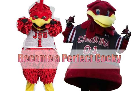 How to Become a perfect Cocky Mascot of SC