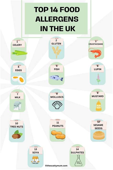 The 14 Major Food Allergens In The UK - The Scatty Mum