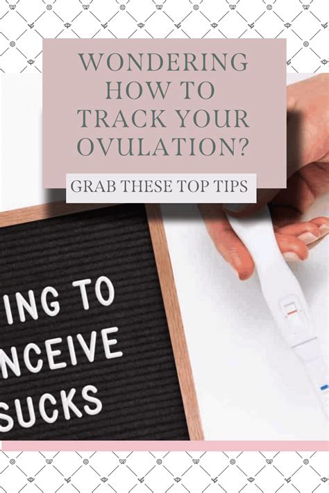 How to Track Ovulation: Expert Guide to 7 Tracking Methods