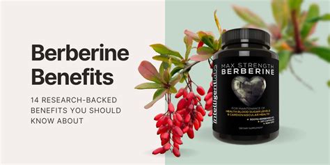 14 Amazing Research-Backed Berberine Benefits – Intelligent Labs