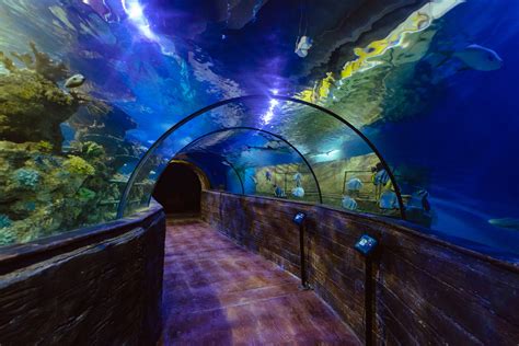 Malta National Aquarium - Trip with Toddler