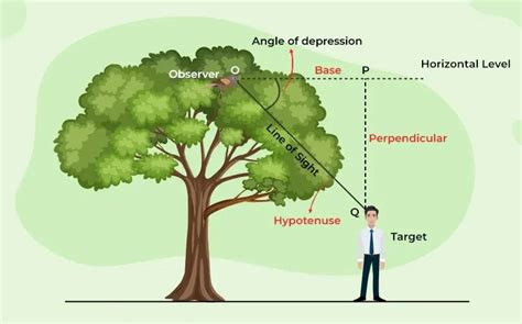 Angle of Depression | Definition, Formula, Examples & Angle of Elevation