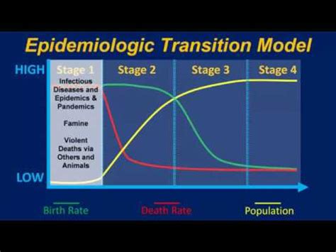 What is the Epidemiologic Transition? Intro & Stage 1 - YouTube