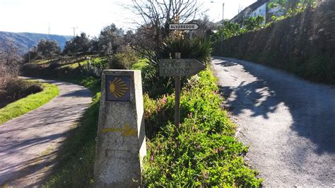 El Plan de Mejora y Señalización del Camino de Invierno será presentado en febrero | Creando Tu ...