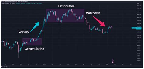 Guide to Altcoin Season: Trends, Triggers, and Tips