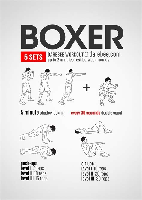 Boxing Workout No Weights | Home boxing workout, Boxer workout, Boxing workout