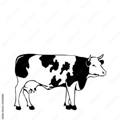 black and white cow vector illustrator Stock Vector | Adobe Stock