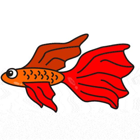 Betta Fish Clip Art - ClipArt Best