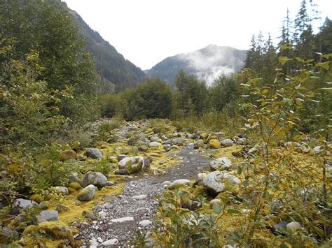 Wonderland Trail Wilderness Campsites - Where The Road Forks