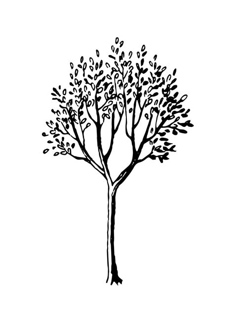 Spring tree ink sketch. Hand drawn vector illustration isolated on white background. Retro style ...