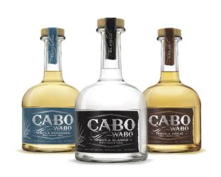 Sammy Hagar sells remaining stake in Cabo Wabo Tequila | Van Halen News ...