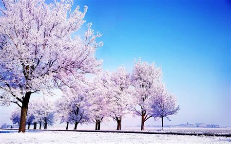 Winter 2021 Wallpapers - Wallpaper Cave