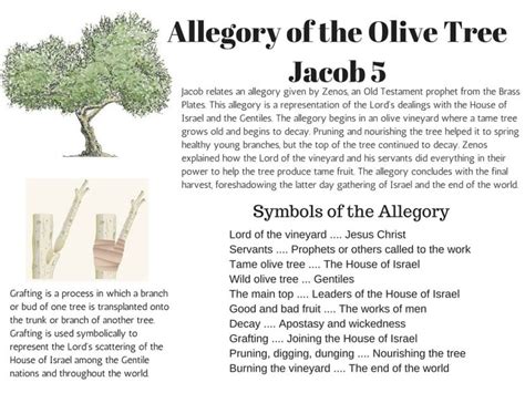 Jacob 5 The Allegory of the Olive Tree - LDS Scripture Teachings