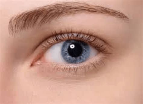 Eyelash Mites Causes, Symptoms, in Humans, Pictures, Mascara, Eyebrow ...