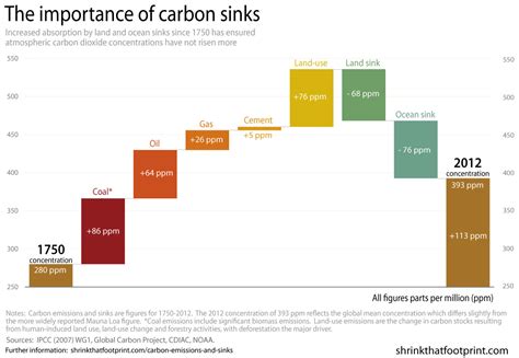 Burning the Carbon Sink – shrinkthatfootprint.com