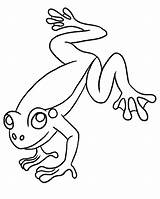 Free Frog Coloring Pages sketch template