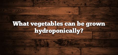 What vegetables can be grown hydroponically? - Inter Culturalu