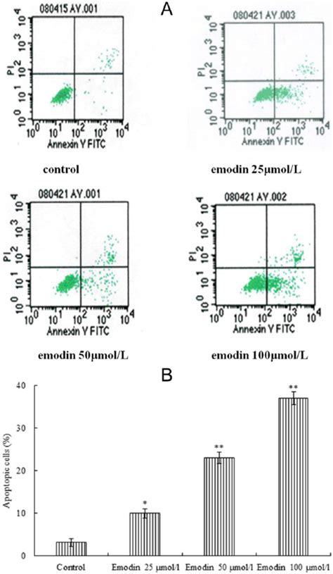 Morphological changes induced by emodin in K562 cells. K562 cells were ...