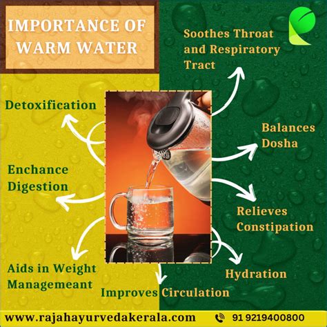 Benefits of drinking hot water in Ayurveda - Ayurveda centres in Kerala ...