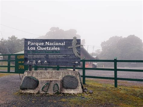 The Complete Guide to Los Quetzales National Park, Costa Rica – Paradise Catchers