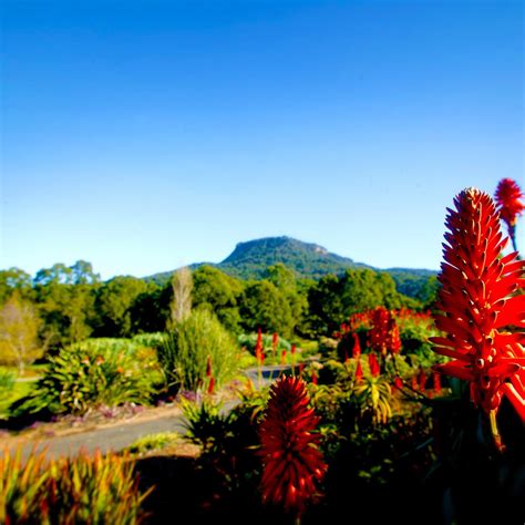 Wollongong Botanic Garden: All You Need to Know BEFORE You Go