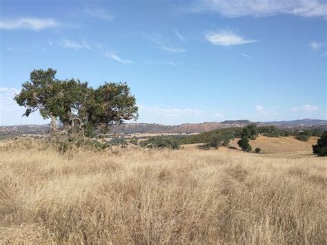 Santa Rosa Plateau Ecological Reserve (Murrieta, CA): Top Tips Before You Go (with Photos ...