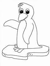 Baby Penguin Coloring Pages Printable sketch template