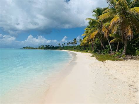 Saona Island Private Boat Tour from Punta Cana » Explora Ecotour