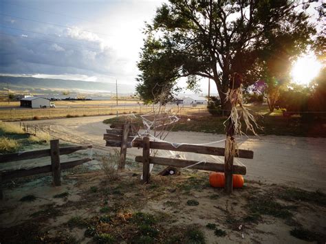 Halloween Fence decoration | M J O | Flickr