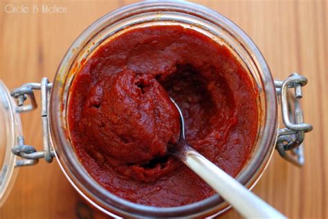 Homemade Tomato Paste — Circle B Kitchen