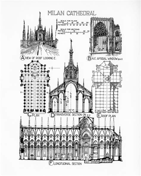 Milan Cathedral: plans, sections and perspective | RIBA pix