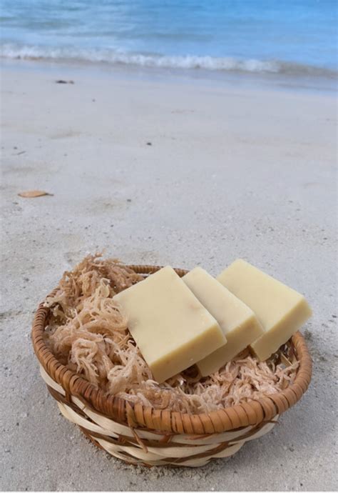 Sea Moss And Coconut Milk Soap