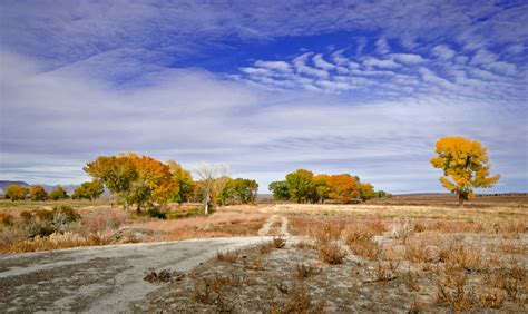 Pitchfork Ranch Gallery — Walker Basin Conservancy