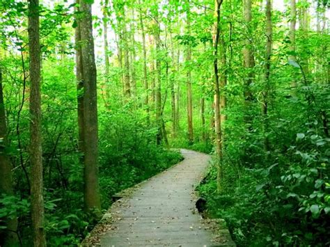 Asbury Woods (Erie) - All You Need to Know BEFORE You Go - Updated 2021 (Erie, PA) - Tripadvisor