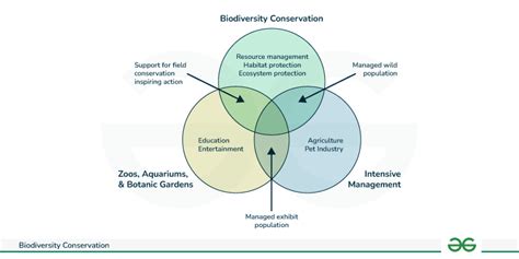 Biodiversity Conservation - Definition, Method and Strategies - GeeksforGeeks