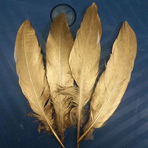 Hot Sale 20pcs/Lot Beautiful Dyeing Goose Feathers length 6 8 inch/15 20 cm Golden For Wedding ...