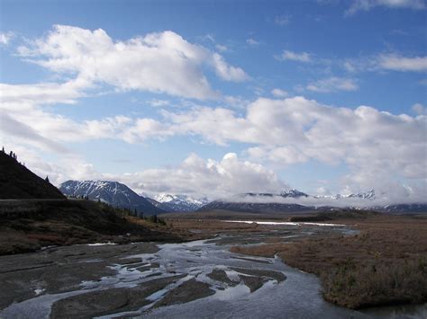 Braided River | One of the many glacier-fed rivers in Denali… | Flickr