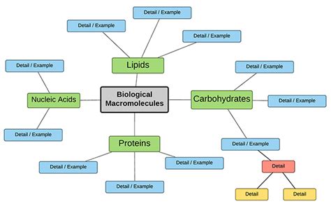 Create a Concept Map of Biomolecules