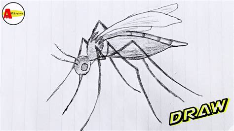 How to Draw a Mosquito Easily And Step by Step ! - YouTube