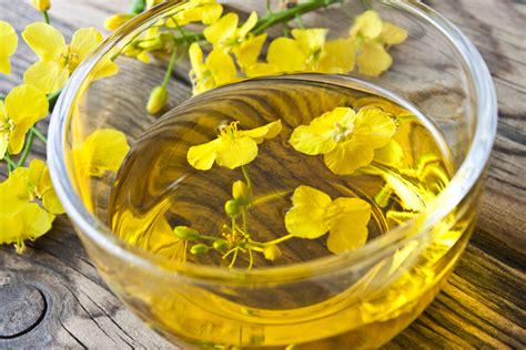 Canola Oil is a Healthy Fat – Eat Well