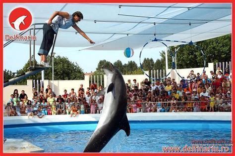 Dolphinarium